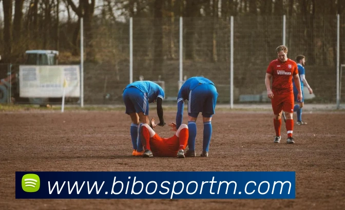 必博体育服务体系