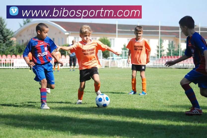 多媒体互动体验